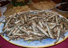 DSC 0501