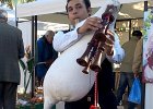1506827 10203410313120266 3748305011138563361 n