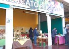 DSC 0811